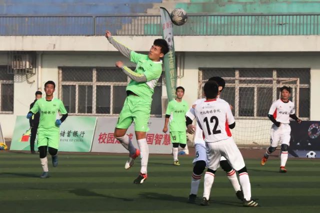 2026年秋季生肖鼠运势解析：9月下旬的应对策略